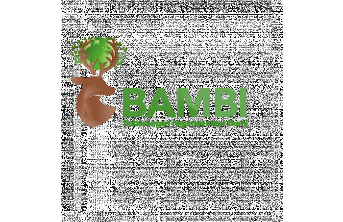 BAMBI 2021 (Babarengan Ngameumeut Bumi)